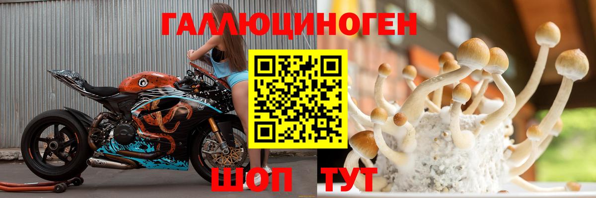 Галлюциногенные грибы прущие грибы  Вход с VPN  Псилоцибиновые грибы Psilocybe  Скопин 
